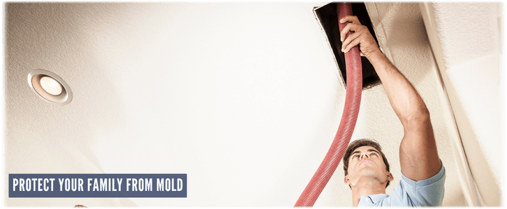 Air Duct Mold Removal in Pearland